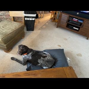 Meet your Posher, Denise